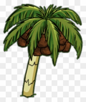 Growing Fruits On Palm Trees - Animated Photos Of A Trees