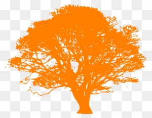 Cartoon Orange Tree - Oak Tree Silhouette Clip Art