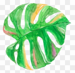Leaf Watercolor Painting Canvas - Leaves Watercolor Tropical Leaves Png