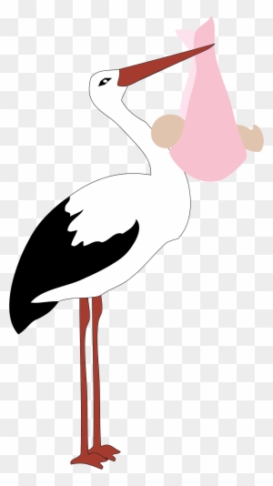 Big Image - Baby Girl Stork Greeting Cards