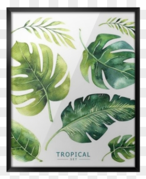 Hand Drawn Watercolor Tropical Plants Set - Tropical Plants Waterclor
