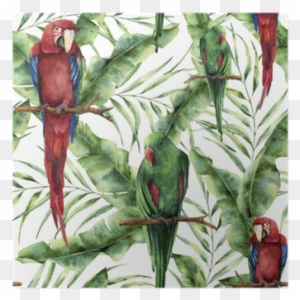 Watercolor Seamless Pattern With Parrots, Banana Palm - Hand Painted Parrot