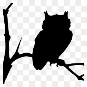 Download Owl Silhouette Clip Art Transparent Png Clipart Images Free Download Clipartmax