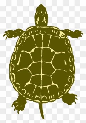 Turtle Clipart - Turtle Bird Eye View