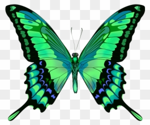 Green Butterfly Png - Beautiful Butterfly