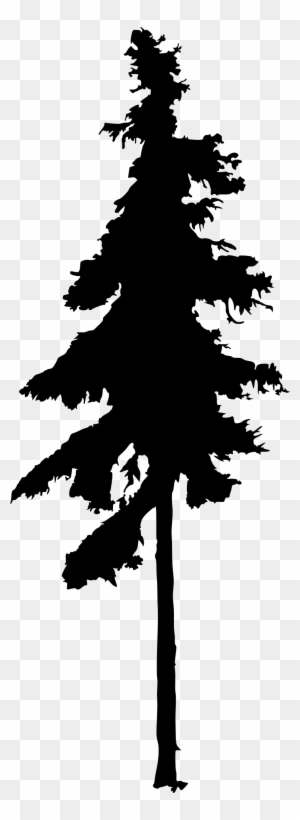 Tall Tree Cartoon Black And White Free Transparent Png Clipart Images Download