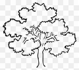 Oak Tree Black White Line Art Coloring Book Colouring - Tree Black And White