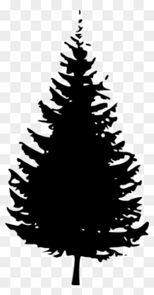 Pine Tree Deciduous Tree Black Adn White Clipart Cliparthut - Pine Tree Outline Png
