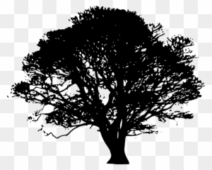 Black Tree Silhouette Clip Art At Clker Com Vector - Fig Tree Silhouette