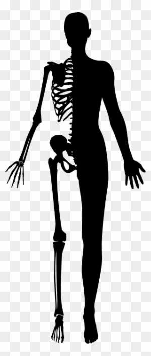 Clipart Human Body Silhouette Png Free Transparent Png Clipart Images Download