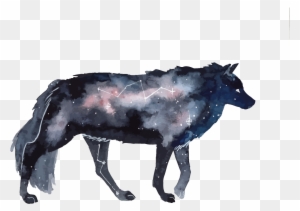 Gray Wolf Deviantart - Watercolor Galaxy Animals