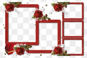 Transparent Red Rose Borders And Frames 187501 - Marcos Para Fotos Gratis