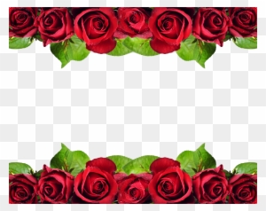 Bem Fácil Png - Rose Flower Design Border