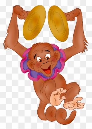 Funny Baby Monkeys - Monkey