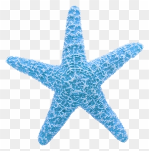 Starfish Clip Art - Gif De Estrellas De Mar