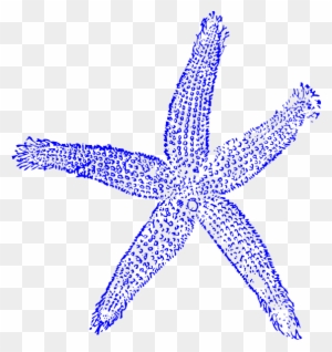 Starfish Blue Svg Clip Arts 564 X 599 Px - Estrella De Mar Vector