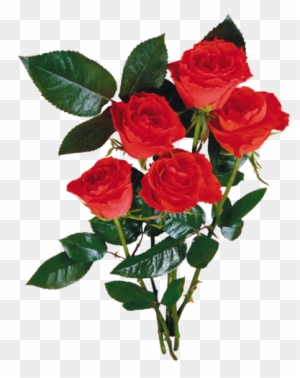 5-2 19 - Bouquet De Rose Rouge En Png - Free Transparent PNG Clipart Images  Download