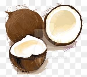Coconut Illustration By Saske1946 - Buttercream