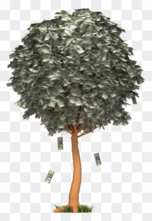 Images - Money Falling From Tree Gif