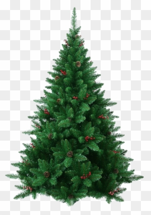 Xmas Pine Tree Decorated Christmas Tree Clipart - Tree Is Christmas Tree