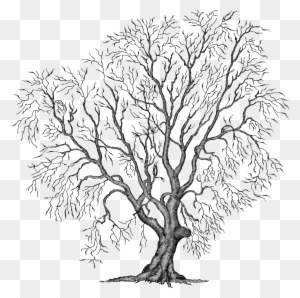 Painting Tree Clipart Illustration Png File Autumn - Winter Tree Clipart