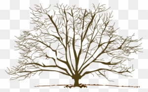 Winter Tree Free Clip Art - Winter Tree Clip Art