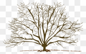 Winter Tree Clipart - Winter Tree Clip Art
