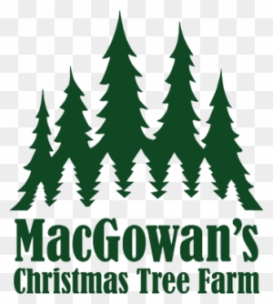 Ottawa Christmas Tree Farm Christmas Tree Farm Louisburg - Friggin Christmas Tile Coaster