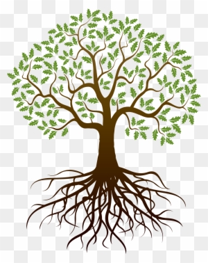 Roots Clipart Family Tree - Family Tree Tattoo - Free Transparent PNG