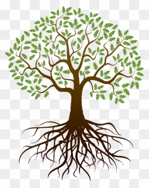 Barnes Family Reunion - Tree Clipart With Roots