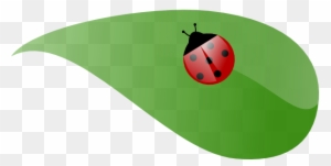 Ladybug On A Leaf Drawing - Cute Personalised Ladybug On White Tote Bag