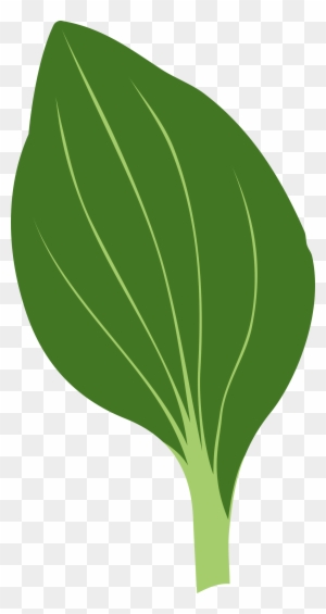 Clipart - - Drawing Of Green Leaves