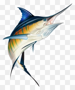 So Don't Wait, Contact Me Now And Let's Make You A - Marlin Fish For Stickers