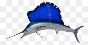 Sailfish Mount - Fish With Big Fins