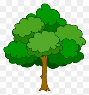 Tree 木 イラスト 背景 なし Free Transparent Png Clipart Images Download