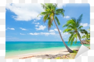 Fotomural Playa Tropical Con Palmeras De Coco • Pixers® - Palmera De Coco Playa