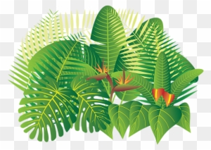 Bleed Area May Not Be Visible - Jungle Plants Png Illustrations