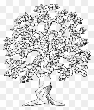 Drawn Roots Tree Illustration - Big Family Tree Drawing