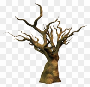 Dead Tree Png Stock By Roy3d - Dead Tree Png