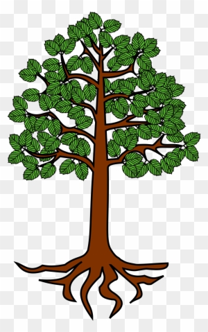 Cartoon Tree Picture 27, - Tree With Roots Clipart