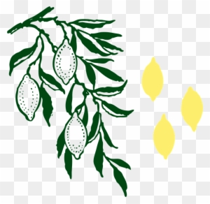 Lemon Tree Clipart - Custom Lemon Tree Shower Curtain