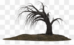 Creepy Tree 19 By Wolverine041269 On Clipart Library - Dead Tree Png