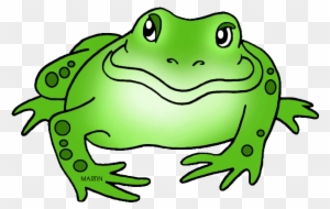 Ohio State Frog - Food Chain