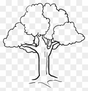 Tree - Coloring Picture Of Tree