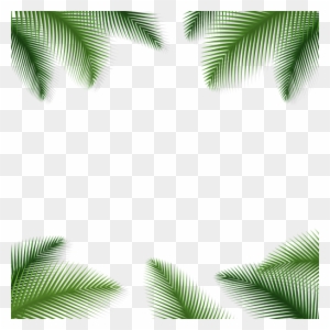 Palm Leaves Floral Background Transparent Png - Transparent Background Palm Tree Leaves Png