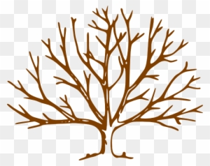 Clip Art Tree No Leaves - Tree Without Leaves Drawing