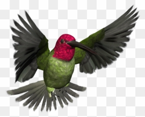 Free High Resolution Graphics And Clip Art - High Resolution Bird Art