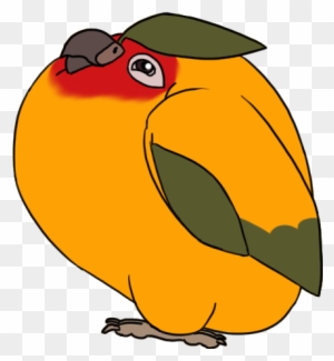 Mango Clipart Png - Mango The Sun Conure