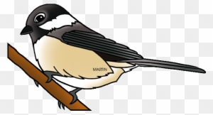 Free United States Clip Art By Phillip Martin, State - State Bird Of Maine