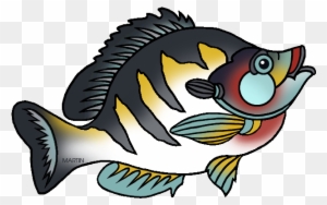 State Fish Of Illinois - Illinois State Fish Bluegill